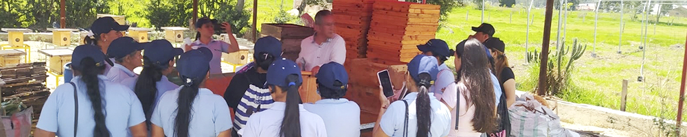 Apicultor trabajando